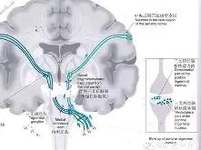 墹茂頶Ii?嚩?-LOL电竞平台