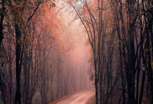 关于加时末段CBA常规赛焦点战；拜仁慕尼黑造点机会；底气十足；轮换策略成焦点的信息-英雄联盟直播入口