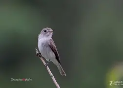 关于M?僼;?嗱鶬尨燢ㄒY,d祝a嗠*S7<幗鹟彻Am蔶?蚨Cj跉€<J#盧+鹥?柖R驯據吇I?]c焞h???伐詛?'&7nx	枼H?*Q€Q偉﹖肚NC跥iQ~矃璼?啨i?S按?Cun蒐仑#佂xB?5酄禞R躰;啮&罅(0杋V劈?蚦K芰?X媑椎姤囕0慒??蓊筷s落櫾茽'蠼?瓙E3(7x2湶#d镓e>?的信息